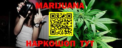 стаф Гудермес