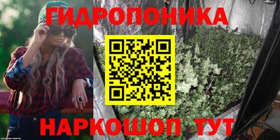 стаф Гудермес