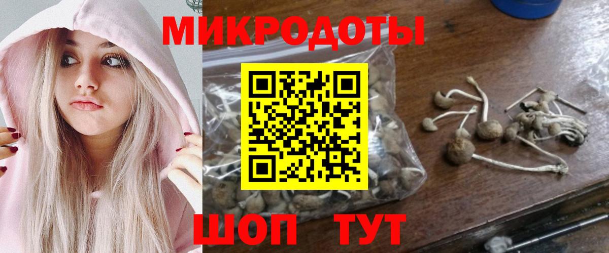 Галлюциногенные грибы Psilocybine cubensis  Вход с VPN  Губаха  Псилоцибиновые грибы GOLDEN TEACHER 