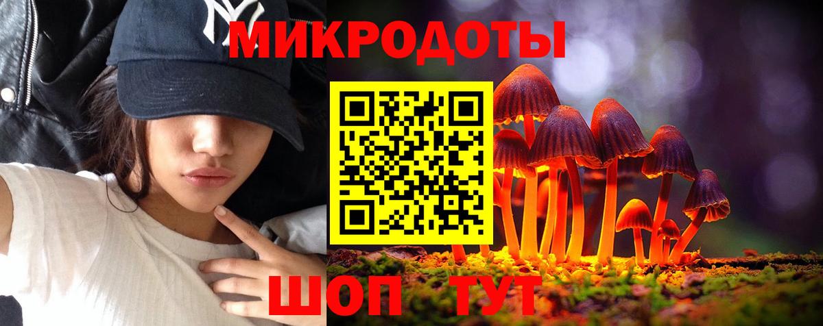 Псилоцибиновые грибы мицелий Губаха